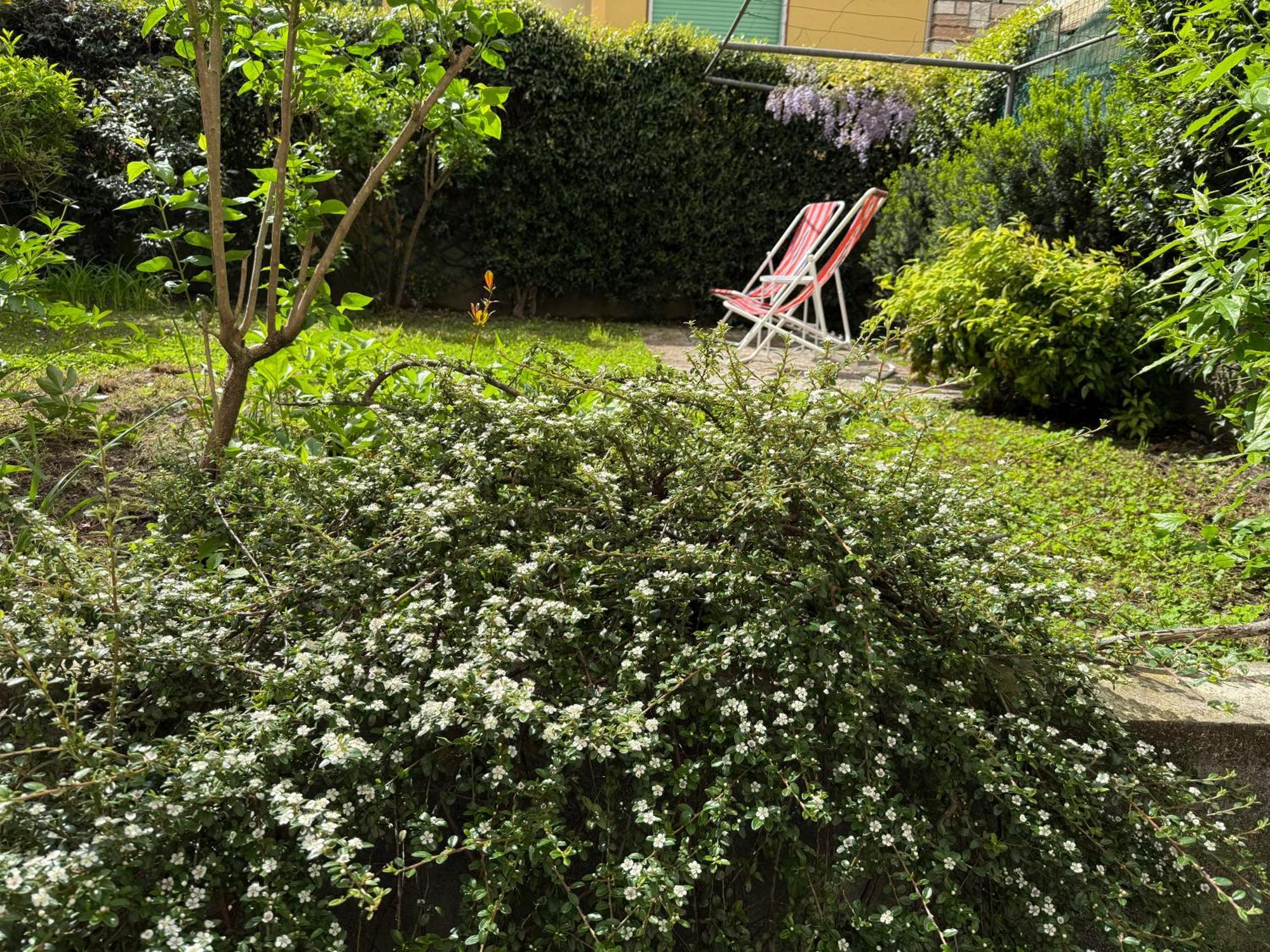 L'Angolino Apartment Trydent Zewnętrze zdjęcie
